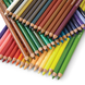 Prismacolor Junior 48 кольорів &mdash; набір кольорових олівців 0213 фото 2